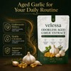 Aged Garlic, 24-Month Odorless Formula, 300 Softgels