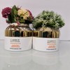 2X Carrot Magic Exclusive Whitening Face Cream 1.75 fl Oz