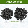 VINICS 1-2 Inch Black Pebbles for Plants, 2 lbs River