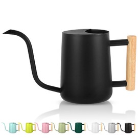 GUKJOB Plant Watering Can,35oz Metal Watering Can,Stainless Steel Indoor Plants with Long Curved Spout,Small Bonsai Outdoor Garden Modern Decorative(Black)