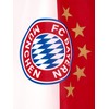 FC Bayern München Flag – 5 Star Logo – 150