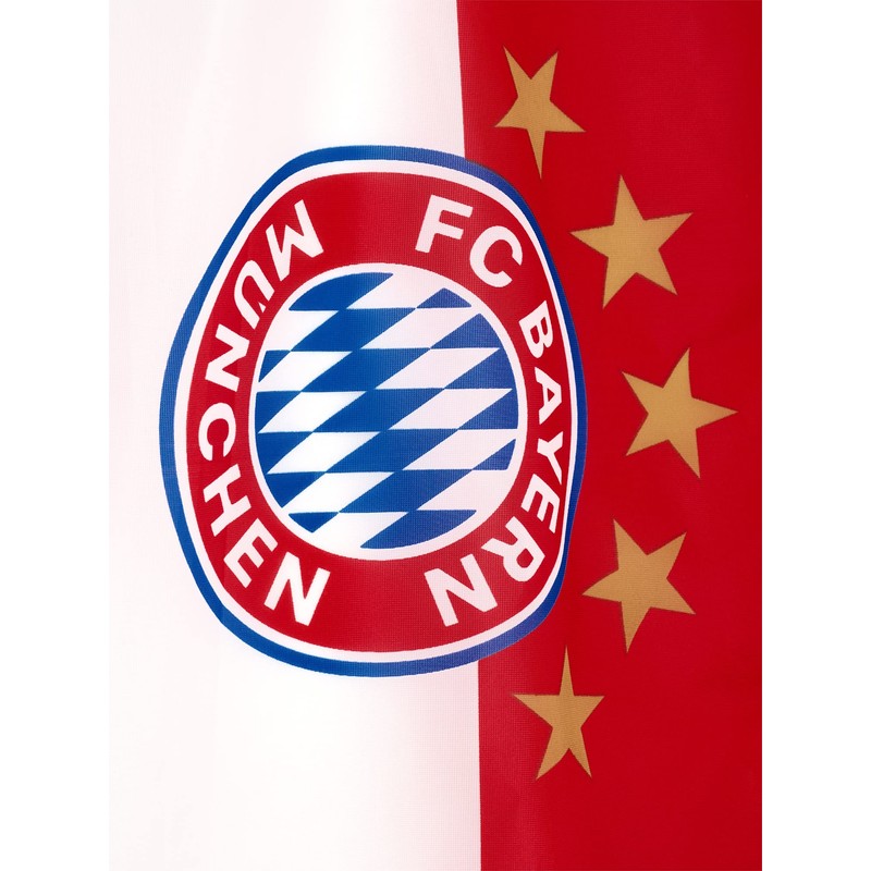 FC Bayern München Flag – 5 Star Logo – 150
