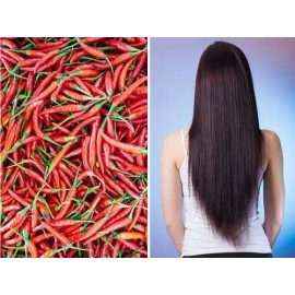 2 Shampoo Chile Y Romero Anti Caída Y Crecimiento Cabello                                                                                             