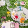 12 Pcs Real Pressed Flower Resin Paperweights - Botanical Specimen