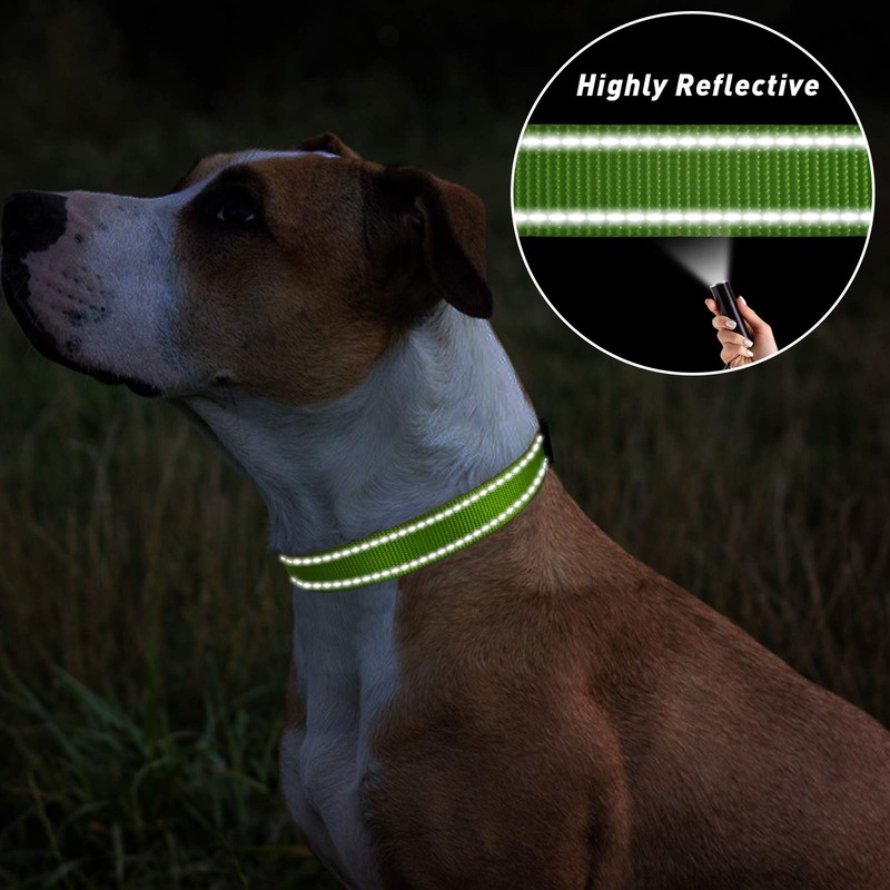 TagME Small Dog Collars, Adjustable Reflective Nylon Pet Collar with