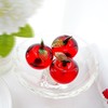 ZEERSHEE Crystal Red Apple Figurine Hand Blown Glass Ornaments Crystal