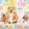 Funmo Pack of 2 Pet Rabbit Ear Hat Cat Dog