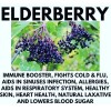 100% Pure Elderberry Sea Moss Gel 100% Natural (Wildcrafted) St