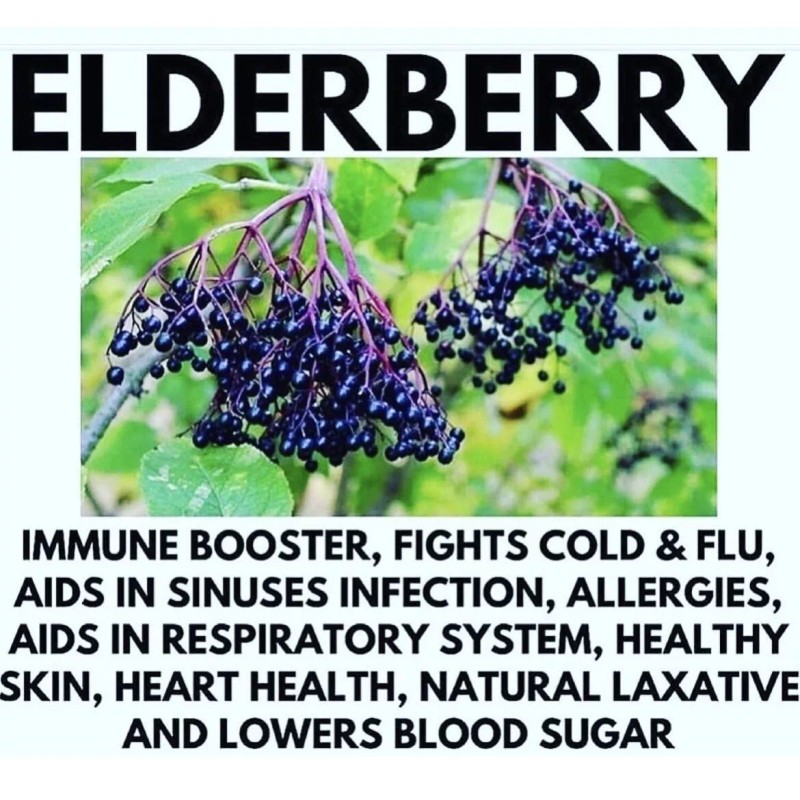 100% Pure Elderberry Sea Moss Gel 100% Natural (Wildcrafted) St