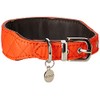 DO&G Silk Expressions Leather and Dog Collar, Pink