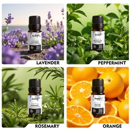GLMIST Essential Oils Set for Diffusers for Home, Includes Eucalyptus Essential Oil and Lavender Essential Oil, Nature Diffuser Oil to Enhance Your Living Space, Nature's Energy Kit