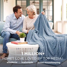 Bedsure Bedsure King Blanket for Couch - GentleSoft Cozy Soft Blankets for Women, Cute Large Throws for Girls, Ashley Blue, 108x90 Inches