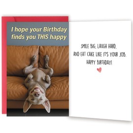 ICOOLYI Funny Birthday Card and Gift for Men or Women – Hilarious and Lighthearted Decorative Design – Perfect for Friends, Family, Coworkers, Him or Her
