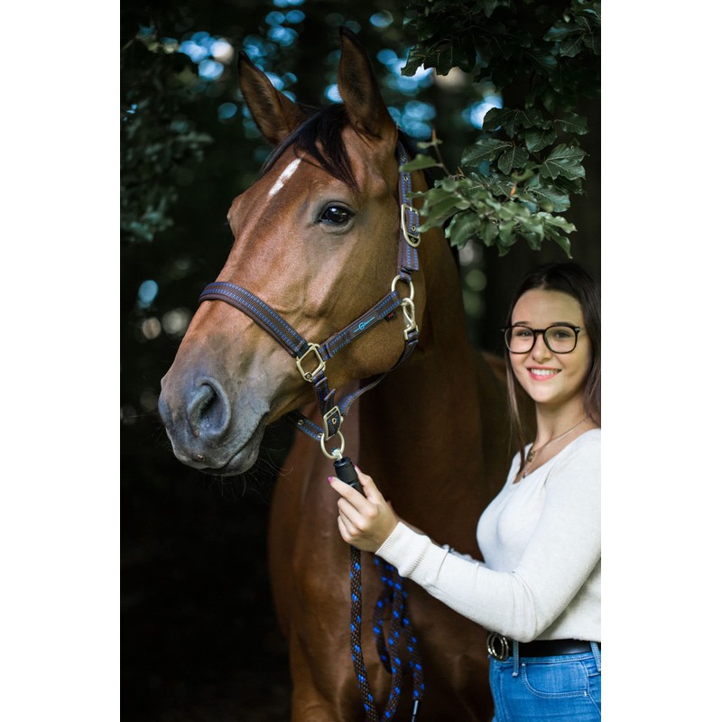 Horse Halter for Goleygo System, Brown/Light Blue, Cob