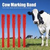 Pack of 10 Cattle Identification Bands - High Quality Safe