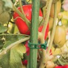 Pack of 200 Plant Clips - High Quality Plastic Tomato