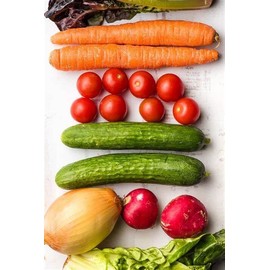 FRONTIER SEED CO USA NON-GMO Vegetable Seeds 21 Variety Garden Survival Heirloom Seed Kit great value