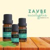 ZAVBE Eucalyptus Oil (Eucalyptus Globulus) 100% Pure, Natural, Therapeutic Grade