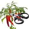 Triangle 50 478 09 02 Herb Scissors, Steel, Black/Silver –