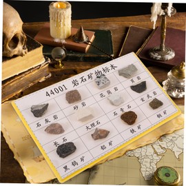 FUNOMOCYA Portable Geology Tool 12-Piece Mineral Rock Specimen Kit for Collection Display and Learning