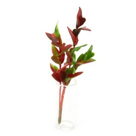 MyTinyWorld Bunch Of Dolls House Miniature Red And Green Plant Foliage