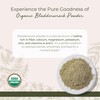 Starwest Botanicals Organic Bladderwrack Powder Starwest Botanicals, 4 Ounce (113