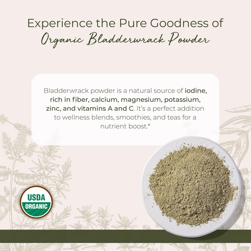 Starwest Botanicals Organic Bladderwrack Powder Starwest Botanicals, 4 Ounce (113