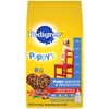 Pedigree Complete Nutrition Puppy Dry Dog Food