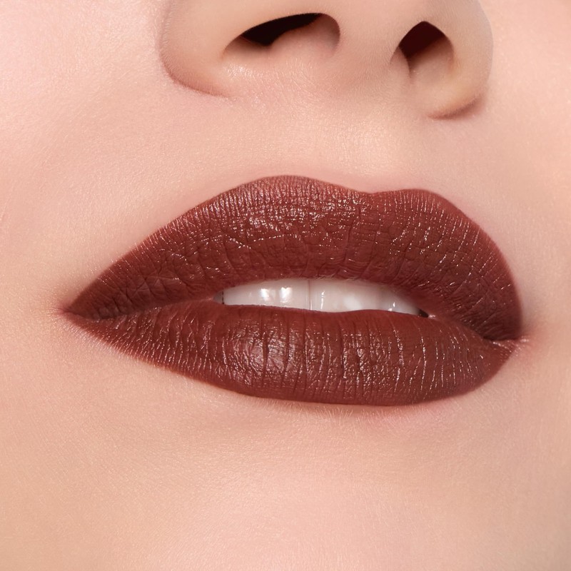 Catrice Endless Matte Liquid Lipstick, No. 100, Brown, Long-Lasting, Mattifying,
