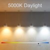 NOVELUX 3.2 Inch 5000K Daylight White E26 LED Bulb 60