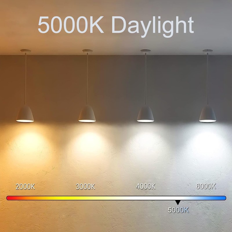 NOVELUX 3.2 Inch 5000K Daylight White E26 LED Bulb 60