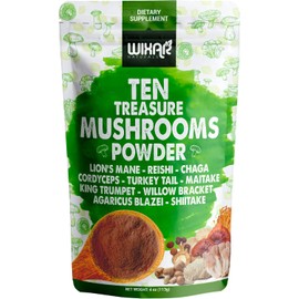 WIXAR NATURALS Wixar - Polvo de hongos – Mezcla de suplemento de extracto de hongos del tesoro para café y batidos – Melena de leones, cola de pavo, Reishi, Chaga, Shiitake, Cordyceps, complejo – Suplemento de hongos