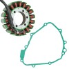 Celox Stator and Gasket for Honda CBR600 F2 Super Sport