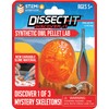 Discover-It Dissection Kit for Kids, Owl Pellet Science Lab Kit