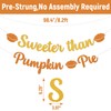 Sweeter than Pumpkin Pie Banner, Little Cute Pie Baby Shower