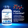 L-Carnitine Tartrate -120 Easy to Swallow Pre-Workout L-Carnitine Capsules to