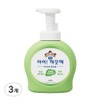 I'm Clean Antibacterial Foam Hand Soap Green Grape, 490ml, 3 Pieces / 아이깨끗해 향균 거품 핸드솝 청포도, 490ml, 3개