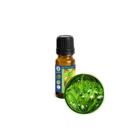 10ml (1/3oz) Fougere (Fern) Absolute Oil - Masculine Fragrance - Quintessence of Manhood