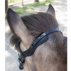 WALDHAUSEN Island Anatomic Bridle Black