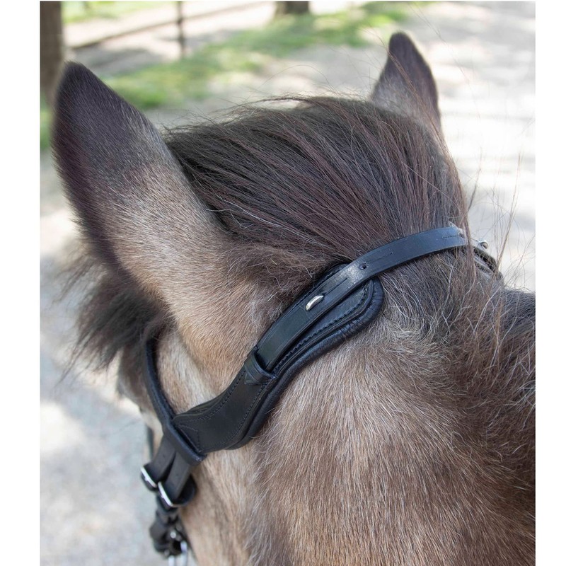 WALDHAUSEN Island Anatomic Bridle Black