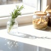 Odowalker Clear Flower Vase Set Small Glass Bud Vases Bulk