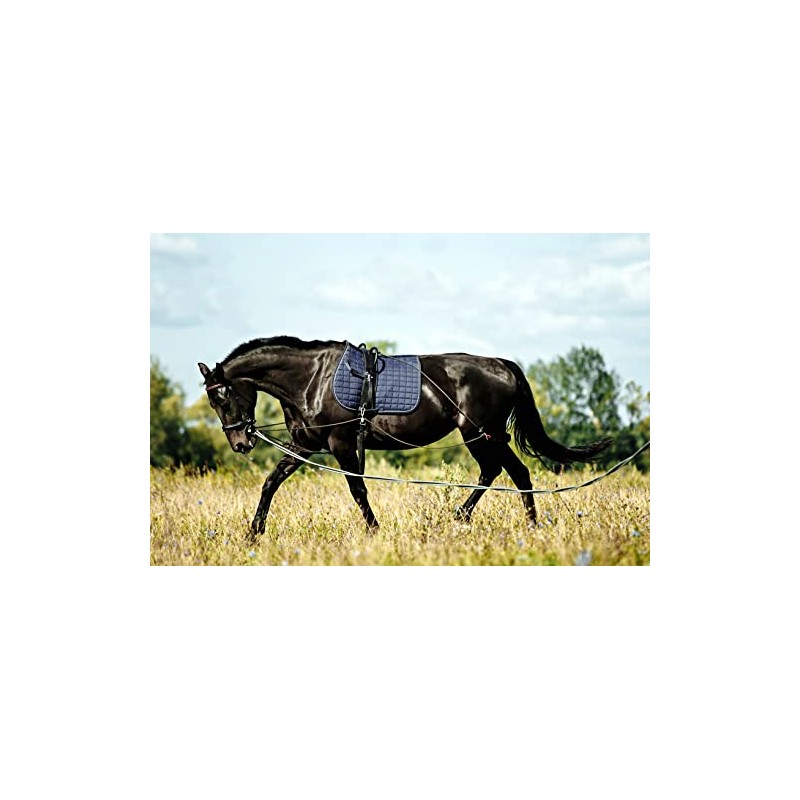 Soft Padded Lunge Line Rein Lead for Horses 27ft Looped