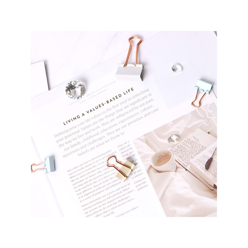 Delhi Deli pastel double clip 19mm 8 pieces / 델리