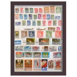 11x8 Walnut Shadowbox Frame - Shadow Box Frame Interior Size 11x8 by 1.5 Inches Deep - Walnut Frame Made to Display Items Up to 1.5 Inches Deep! Includes Shatter Resistant Acrylic, Backing, Hardware