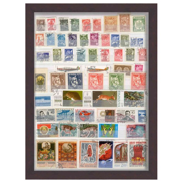 11x8 Walnut Shadowbox Frame - Shadow Box Frame Interior Size