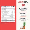 Type Zero- Polvo BCAA Vegano Ultra Limpio Electrolitos (Punzón Hawaiano