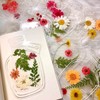 Cayway 80 PCS Clear Pressed Flower Bookmark DIY Plant Bookmark