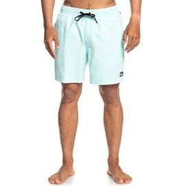 Quiksilver Men's Standard Everyday Volley 17 Swim Trunk Bathing Suit Short, Blue Light, S