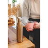 S'well Original Pyrit 500 ml Vacuum Insulated Drinking Bottle Keeps