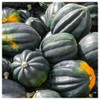 Everwilde Farms - 1 Oz Table King Acorn Winter Squash